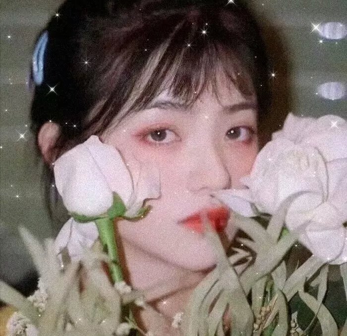 杜平专员:伊苏的宝藏